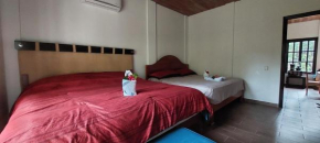 Tu Casa en la Selva Lacandona